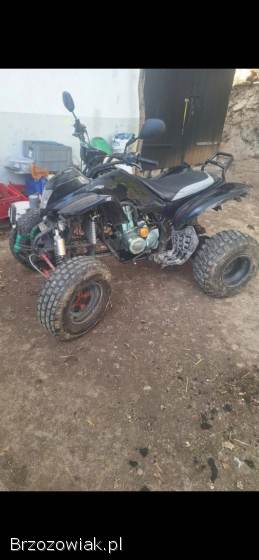 Bashan catbrier 250cc