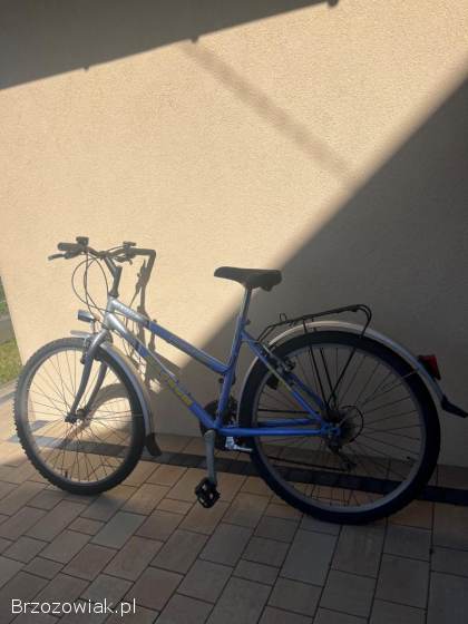 Rower miejski/trekkingowy Magnum Prestige 18 speed