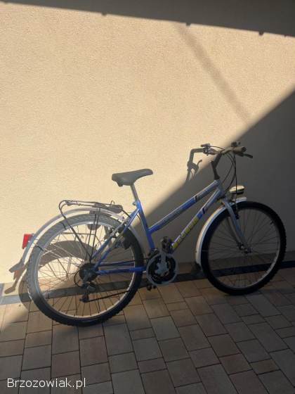 Rower miejski/trekkingowy Magnum Prestige 18 speed