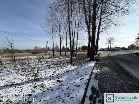 Bzianka – 14,  7 ar przy drodze
