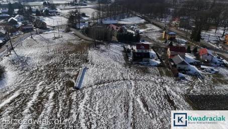 Bzianka – 14,  7 ar przy drodze