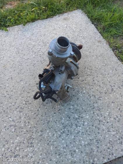 Turbo,  gril