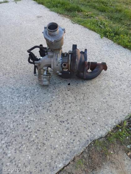 Turbo,  gril
