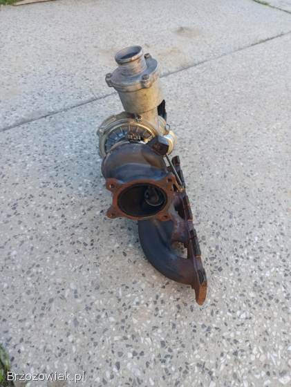 Turbo,  gril