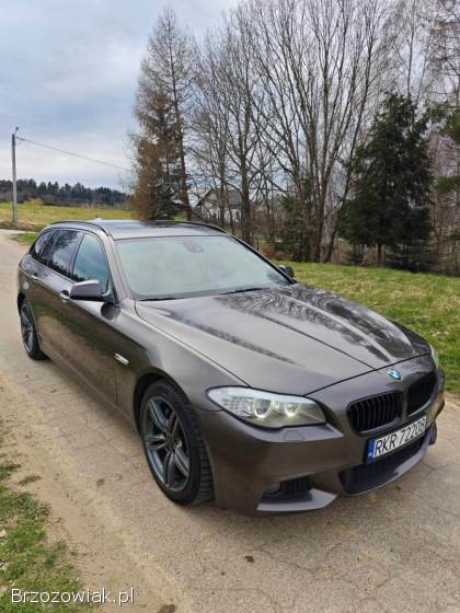 BMW Seria 5 2011