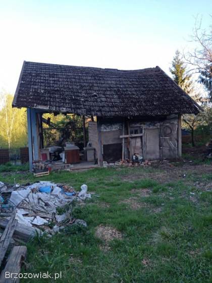 Oddam darmo drzewo z budynku gospodarczego