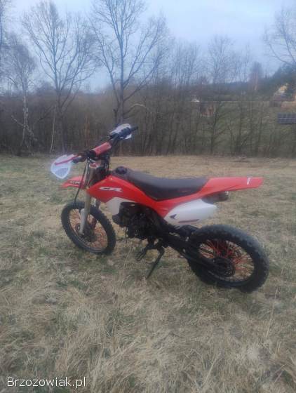 Xmotos XB 140 cc 2019