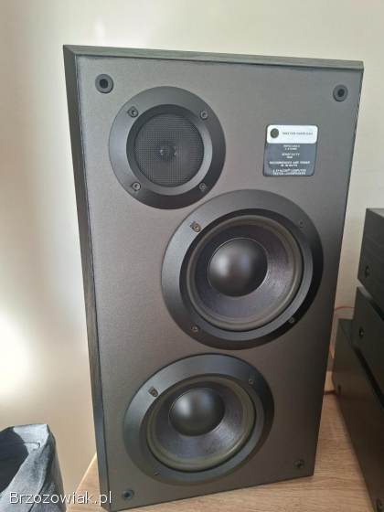 Kolumny Bose ML4