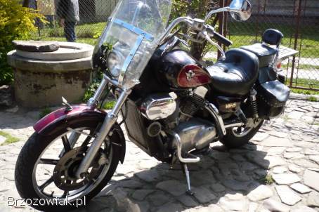 Kawasaki Vulcan Vn 1500 vulkan 1990