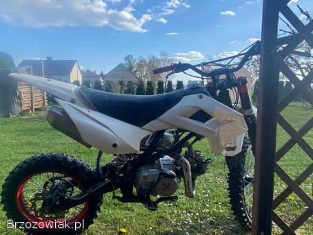 Mrf  140 rc big 2019