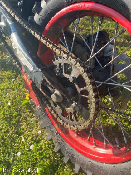 Mrf  140 rc big 2019