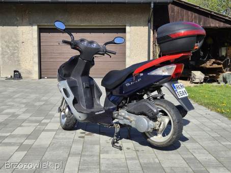 Peugeot Sum Up 2009