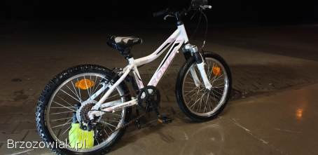 Rower Romet 20 cali cena 700 zl