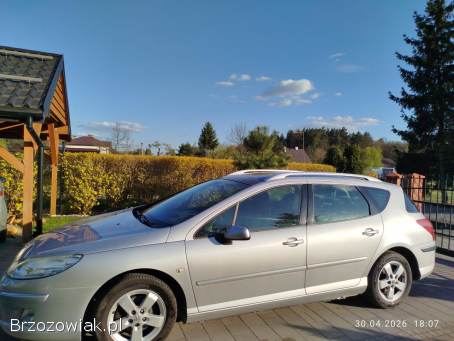 Peugeot 407 Sw 2007