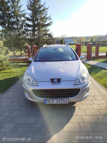 Peugeot 407 Sw 2007