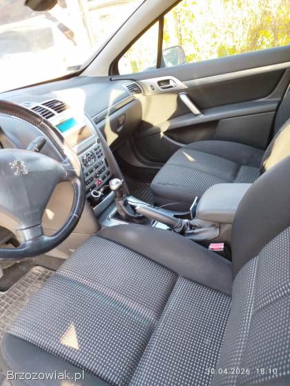Peugeot 407 Sw 2007