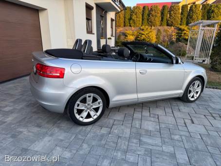 Audi Cabriolet A-3 Cabrio  2008