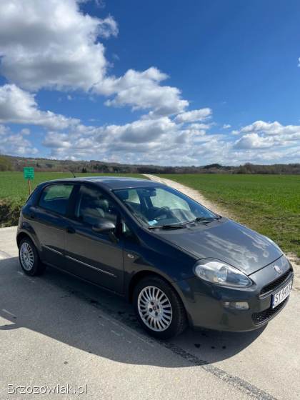Fiat Punto 2012 2012