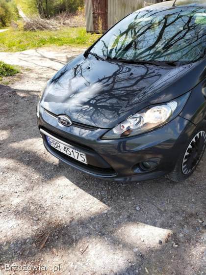 Ford Fiesta 2010