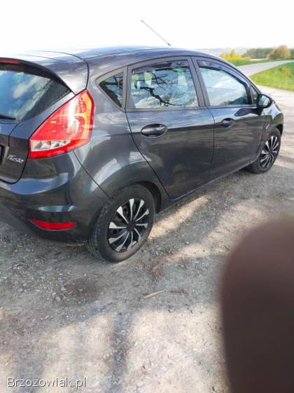 Ford Fiesta 2010