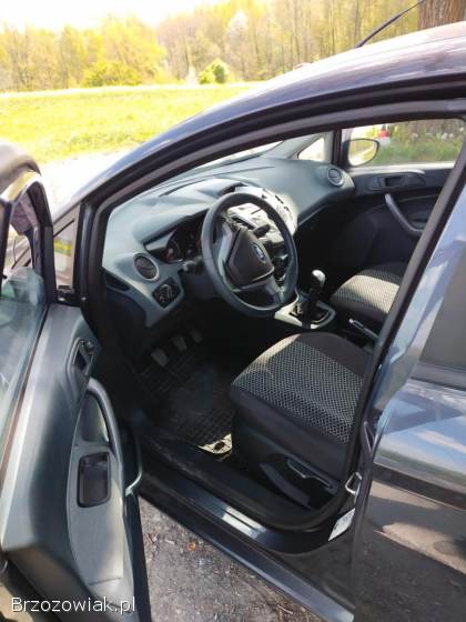 Ford Fiesta 2010