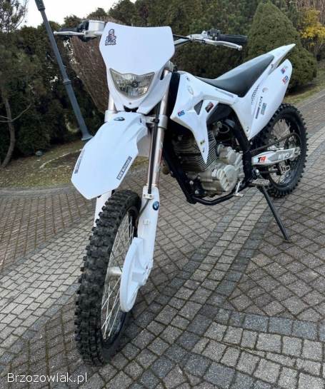 Kayo T4 250 2023