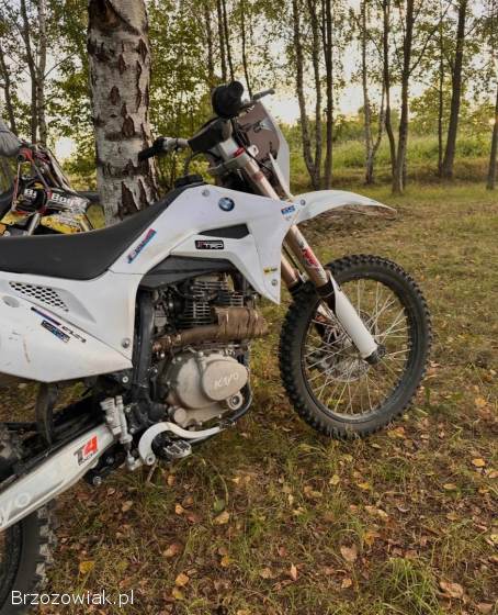 Kayo T4 250 2023