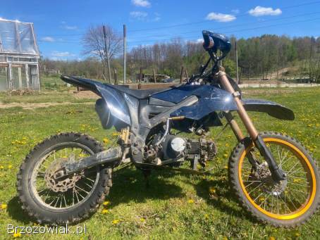 KXD PRO 125 4t PRO 2018