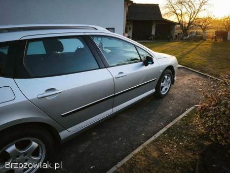 Peugeot 407 2004