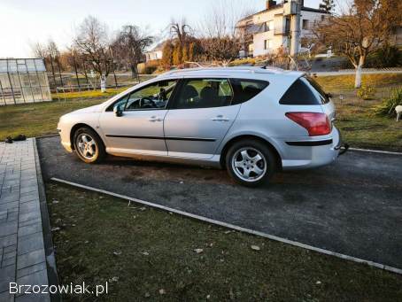 Peugeot 407 2004
