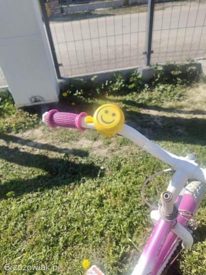 Rower dziecięcy