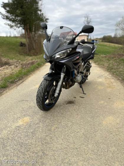 Yamaha FZ A2 35kw 2004