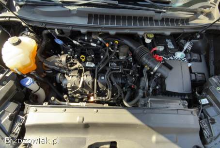 Ford Edge Titanium Elite 2022