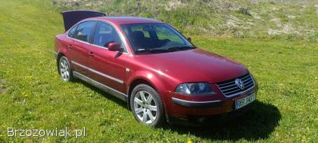 Volkswagen Passat Sedan 2002