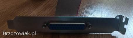 Taśma sygnałowa FDD (Floppy Disk Drive)
