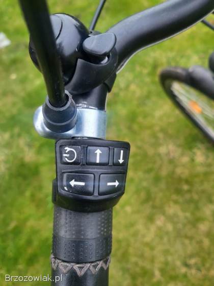 Rower elektryczny Batavus Tourmalet