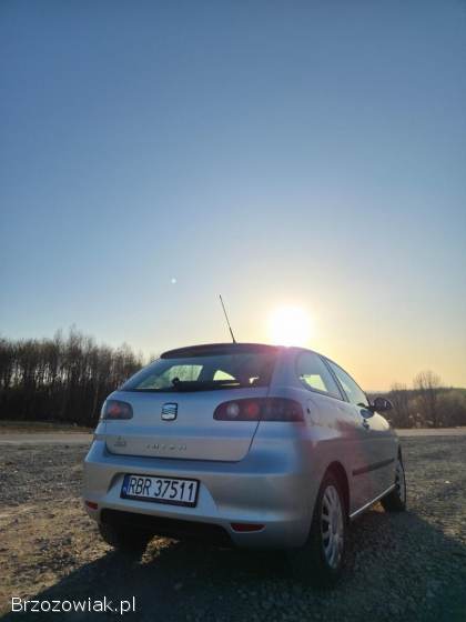 Seat Ibiza 6L 2007