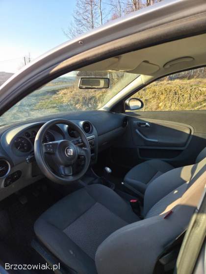 Seat Ibiza 6L 2007