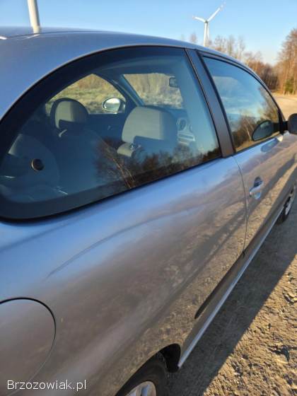 Seat Ibiza 6L 2007