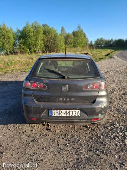 Seat Ibiza 2006