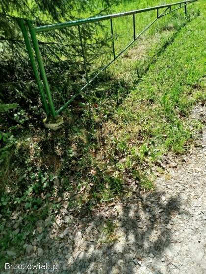 Brama z profila (leśna)