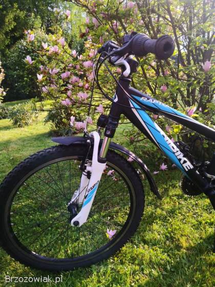 Rower młodzieżowy Unibike Raptor 24