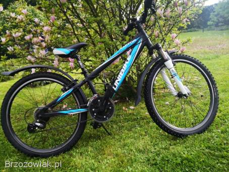 Rower młodzieżowy Unibike Raptor 24