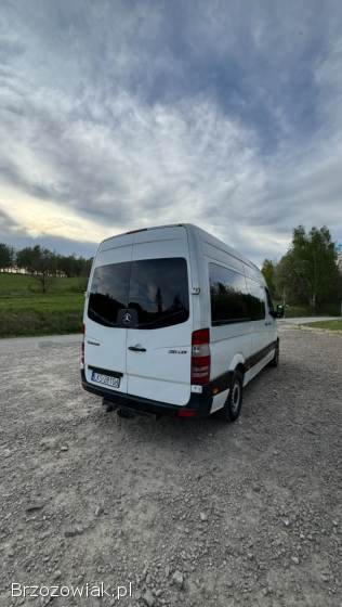 Mercedes-Benz Sprinter 9 osobowy 2006