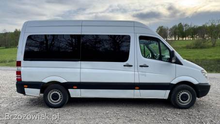 Mercedes-Benz Sprinter 9 osobowy 2006