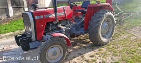 Massey Ferguson Mf 255,  1989r wspomaganie kierownicy