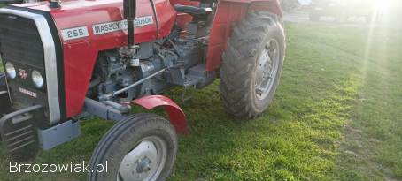 Massey Ferguson Mf 255,  1989r wspomaganie kierownicy