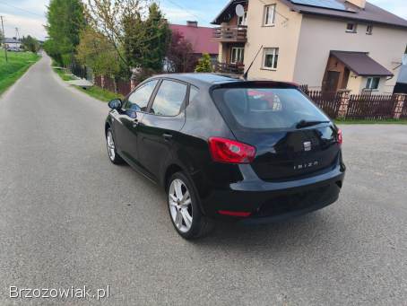 Seat Ibiza 2013