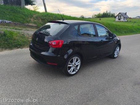 Seat Ibiza 2013