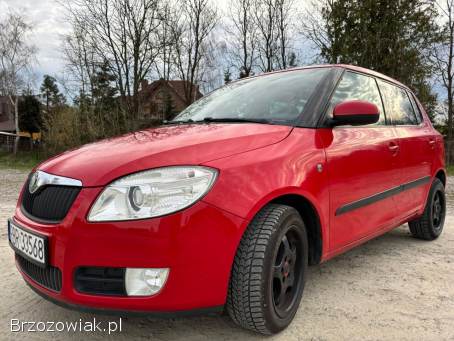 Škoda Fabia II 2009